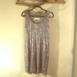 Silver Sequin Mini Dress